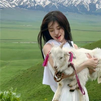 乐高幻影忍者 第十五季